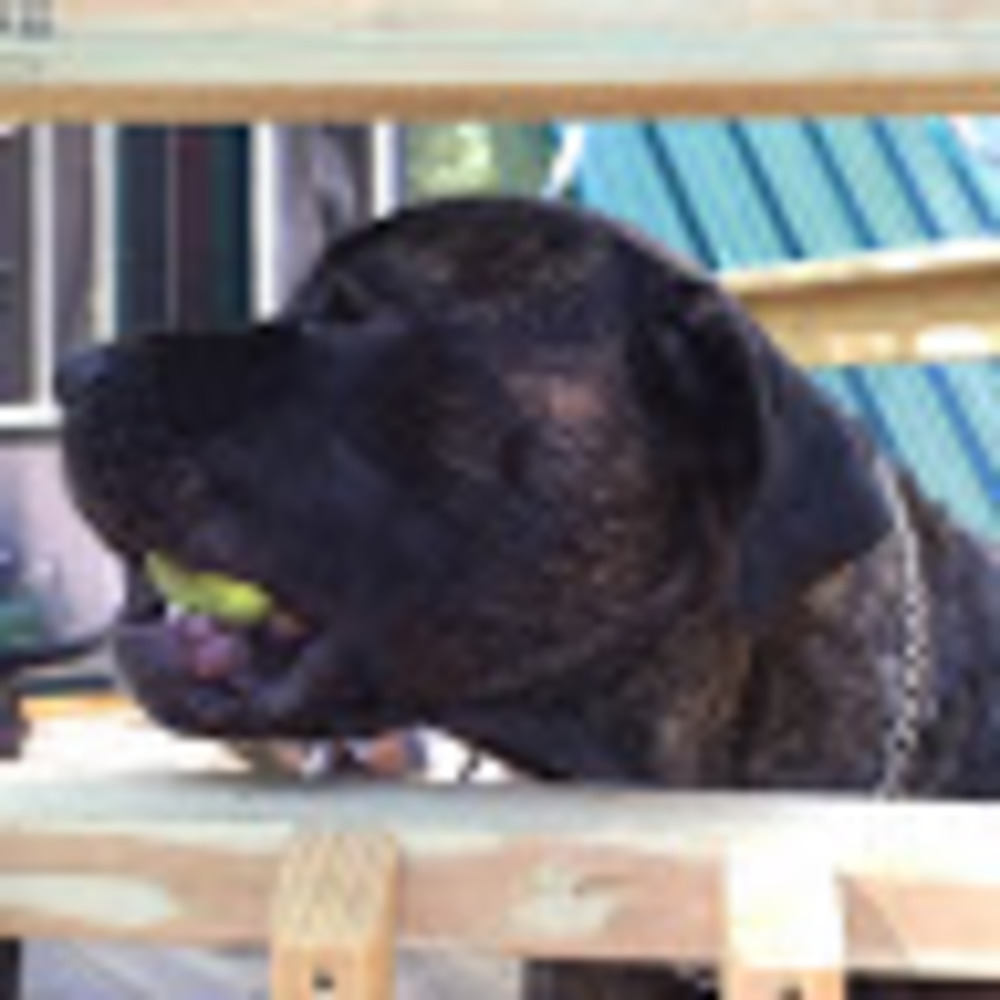 Meet your Posher, Lance